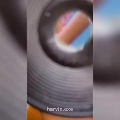 Those bees are up to something...