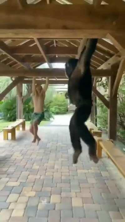 Let's do this brother