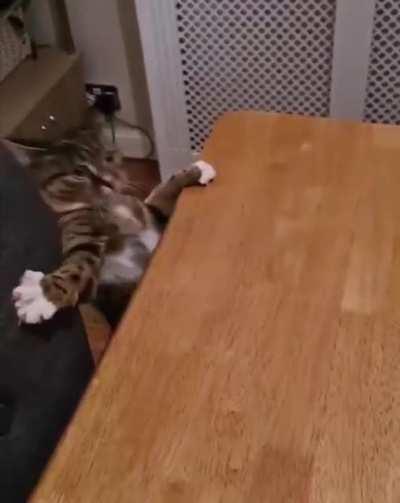 Not a very agile acrobat