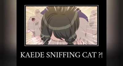 This is better than cocaine