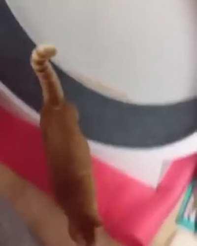 Exercising looks easy and fun until you try it (many of us can relate!)