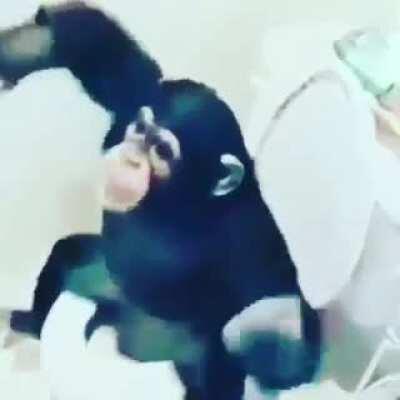 Monke in the bathroom