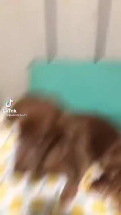 Devia ser crime fazer isso