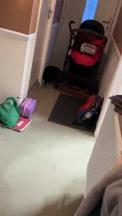 He’s got an f’ing bird 🐦