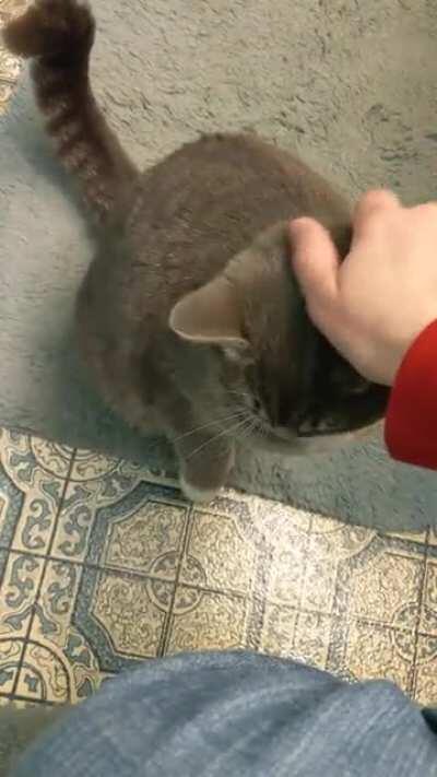 She knows I have nothing better to do while I'm going to the bathroom