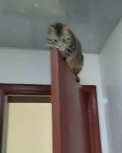 The best place to sleep