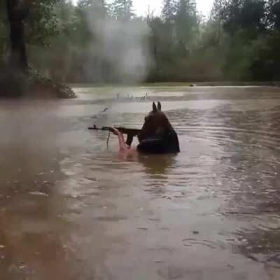 NØKK ELITE SKIN😳😳😳👀