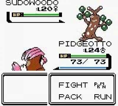This is what happens when you use Whirlwind on the Sudowoodo in Pokemon Gold/Silver