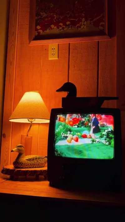 Dessa vez é um vídeo curto mesmo 