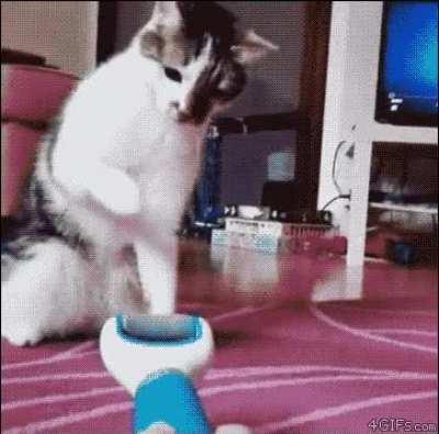 An unexpected error has occurred.