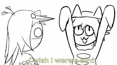 Average Niko and Alula interaction