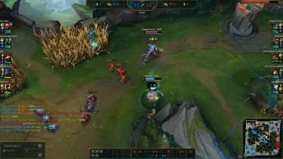 Anatomically Correct Lee Sin