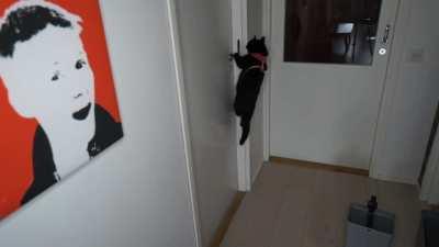 My lovely lady's morning routine. I admire her dedication to being the biggest dick in my life.