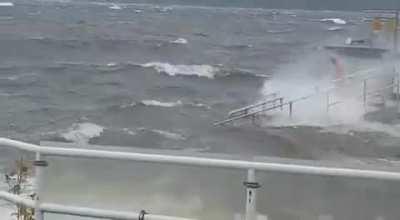 Купнуться чтоль...