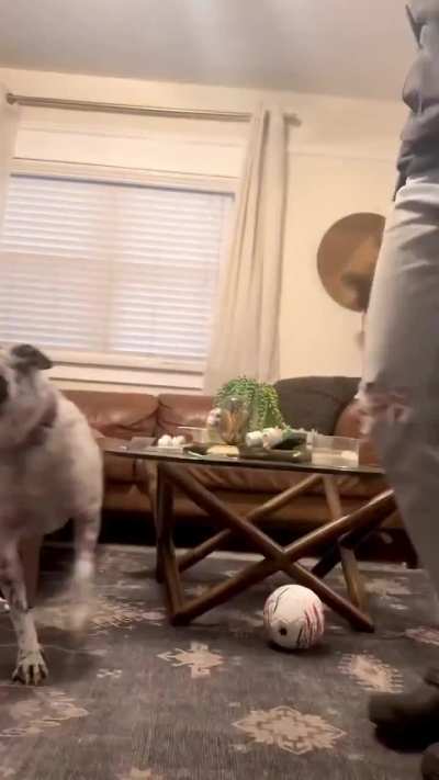 She gets so excited when she sees her wheelchair