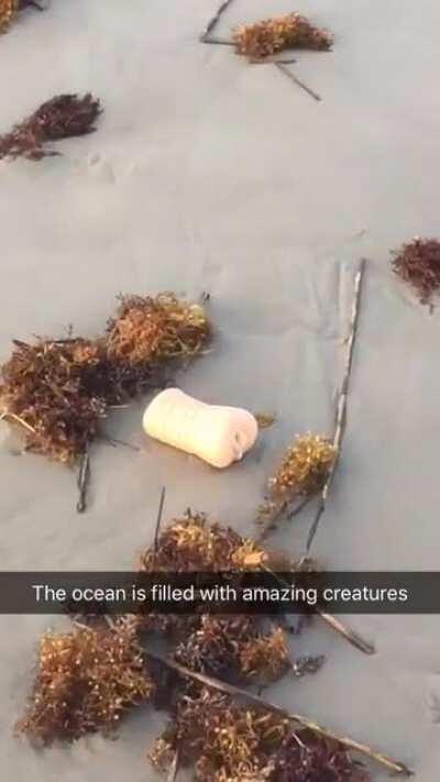 Isn’t nature incredible?