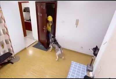 Thank you and good bye