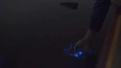 The waters of Vaadhoo Island, Maldives, are home to bioluminescent phytoplankton which glow when agitated.