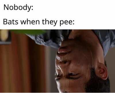 getting wet is their passion