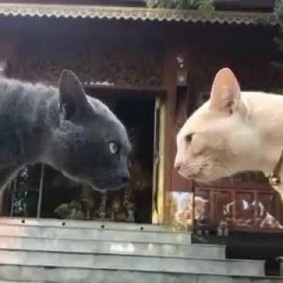 If you blink you get your ass beat