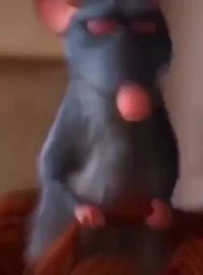 Sei lá vê o vídeo