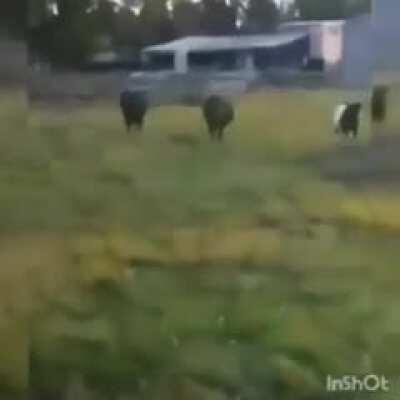 Não sei se é repost