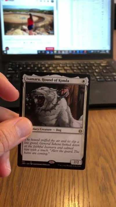 The new flip cards in Jump Start are weird.