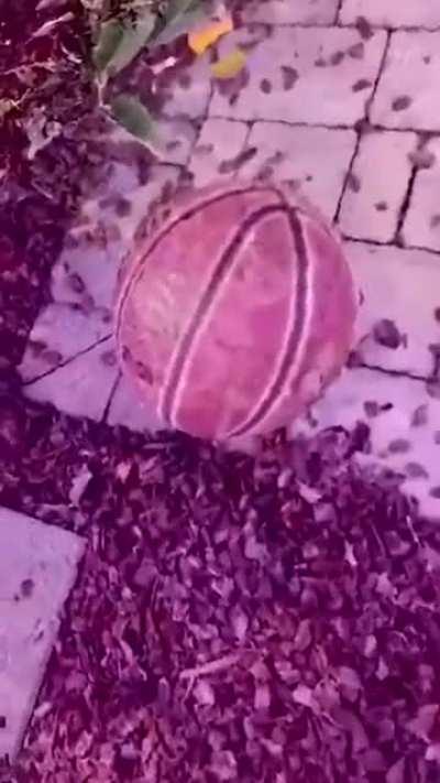 have no idea what’s going on here