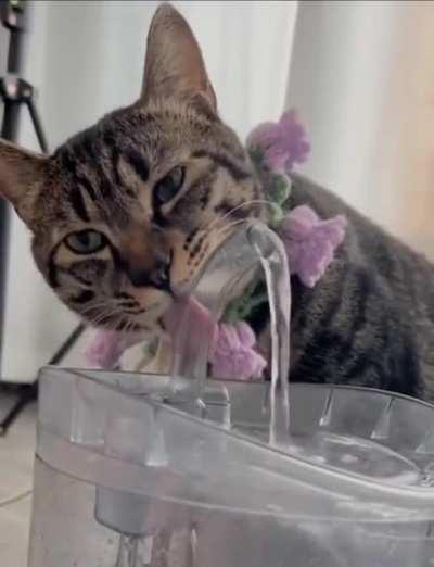 Why am I still thirsty.. This hard water!