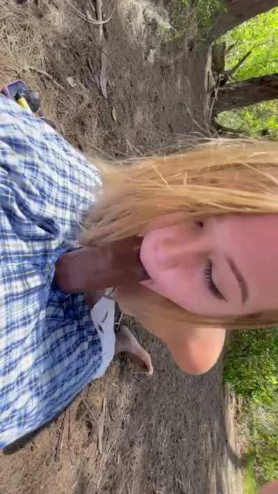 The sounds of nature