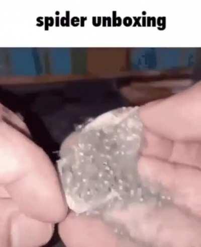 mfs living in a burrito💀