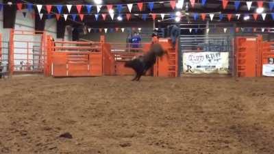 Someone’s gonna die