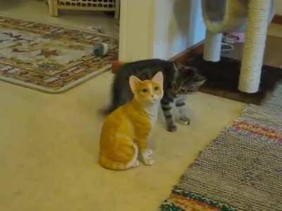 Don't look at him. DO NOT look at him.