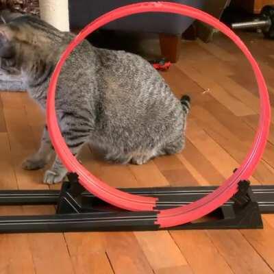 Captain is still getting the hang of the slot cars