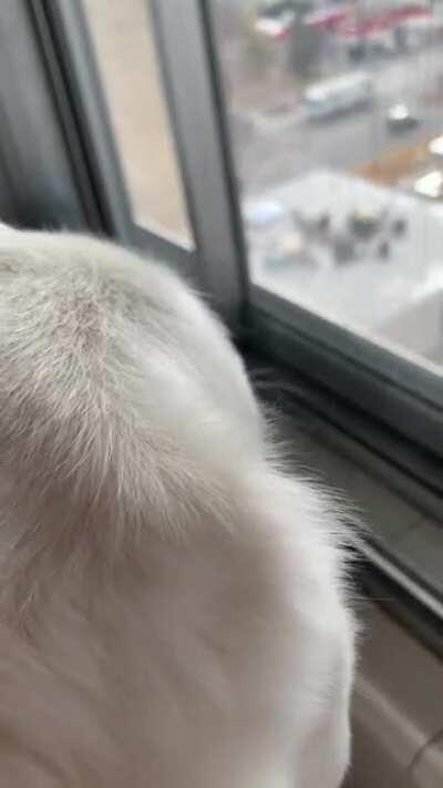 we live on the 9th floor. what is she going to do??