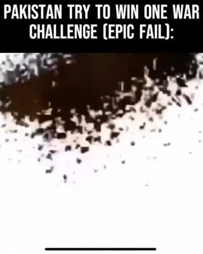 yes wacky sounds = funny