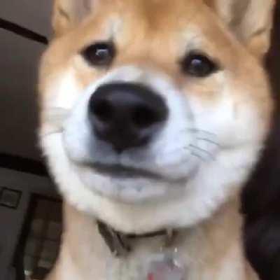 has this already been posted