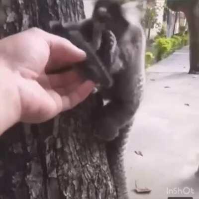 excuse me maam you dropped this