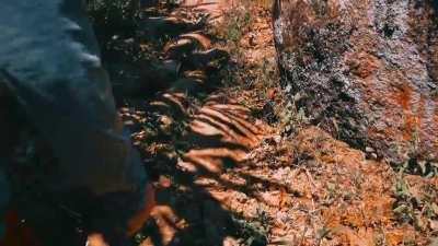 Támesis, espero lo disfruten.