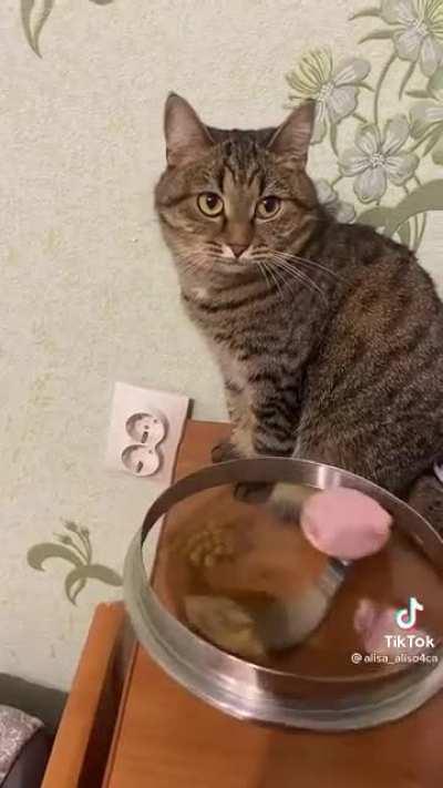 Вращайте барабан!