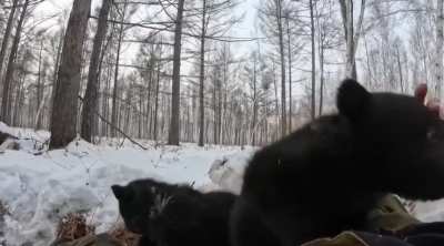 Cute, but this is something I could never do.