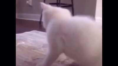 made this at 2:00am though it was funny while making it ,now not so sure