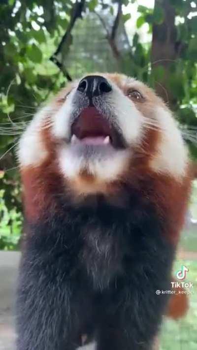 Just look at his eyes OMG <3 <3