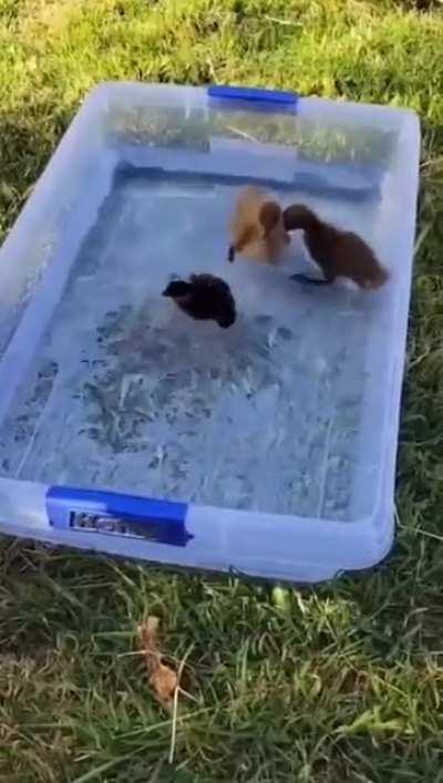 There is a happy one.