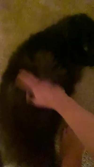 It’s been awhile but Roo is as cuddly as ever