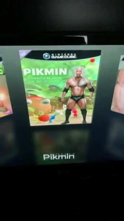 My friend asked me to hack his wii so he could play his GC games from an SD card. Got bored and made custom shitposty box art for each game.