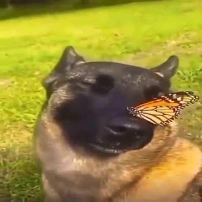 Hanma family members be crazy as hell and then there's Yuichiro who was like: