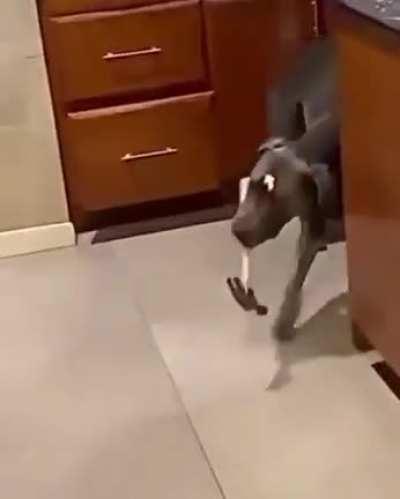 The do wi de buter se venga