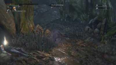 Me: “Oh, two of those giant venom-spitting balls of snakes, I should think of a strategy for approaching them.” Bloodborne: “No, you don’t.”