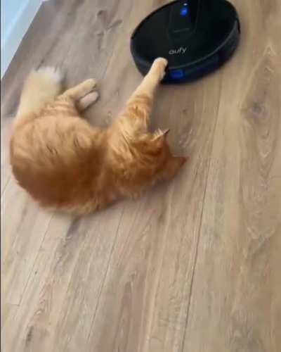 Follow me! I'll show you the way to the bowl